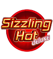 Sizzling Hot Slot